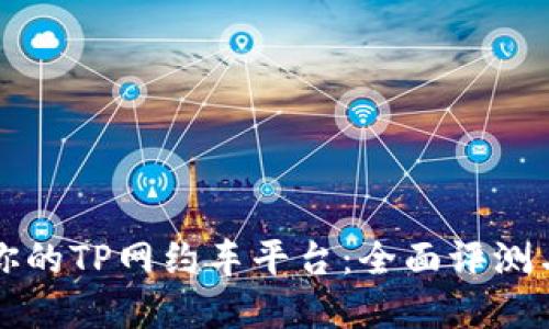 如何选择适合你的TP网约车平台：全面评测与用户经验分享