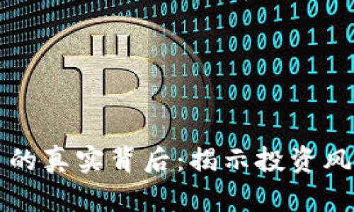宝路达虚拟币的真实背后：揭示投资风险与潜在收益