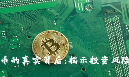 宝路达虚拟币的真实背后：揭示投资风险与潜在收益