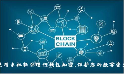 如何使用手机软件进行钱包加密，保护您的数字资产安全
