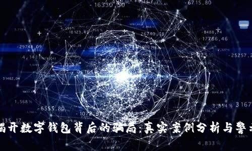 揭开数字钱包背后的骗局：真实案例分析与警示