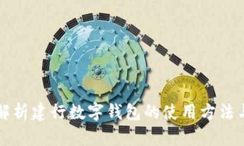 全面解析建行数字钱包的使用方法与功能