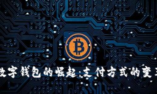 揭秘土耳其数字钱包的崛起：支付方式的变革与未来展望