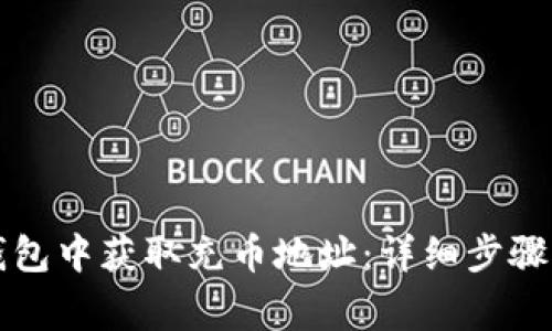如何在TP钱包中获取充币地址：详细步骤与注意事项