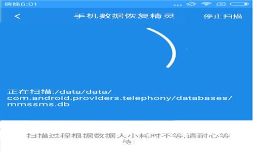 如何解决TP钱包充错款项的问题