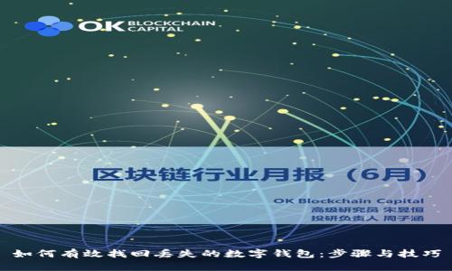 如何有效找回丢失的数字钱包：步骤与技巧