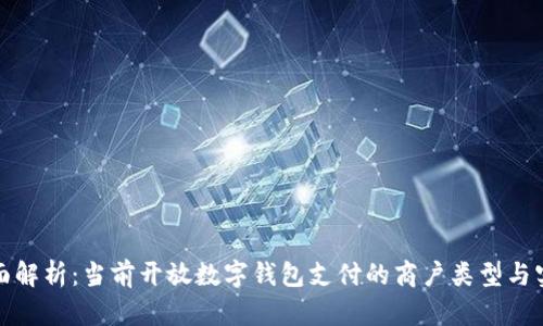 全面解析：当前开放数字钱包支付的商户类型与实例
