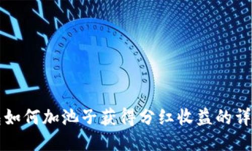 TP钱包如何加池子获得分红收益的详细指南
