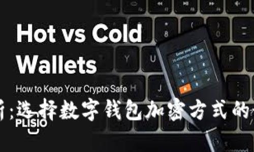 深度解析：选择数字钱包加密方式的最佳指南