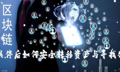 TP钱包关停后如何安全转移资产与寻找替代方案