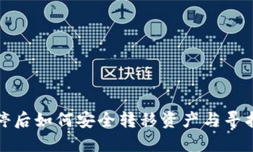 TP钱包关停后如何安全转移资产与寻找替代方案
