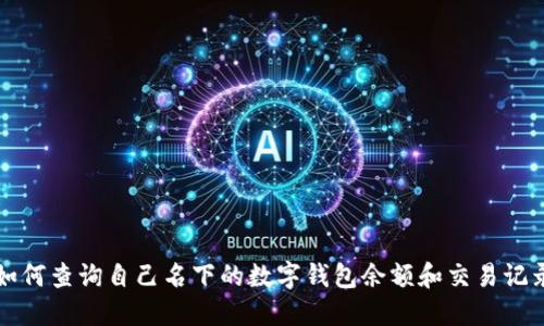 如何查询自己名下的数字钱包余额和交易记录