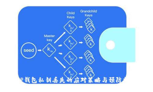 TP钱包私钥丢失的应对策略与预防措施