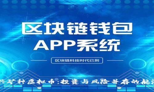 新兴矿种虚拟币：投资与风险并存的航海图