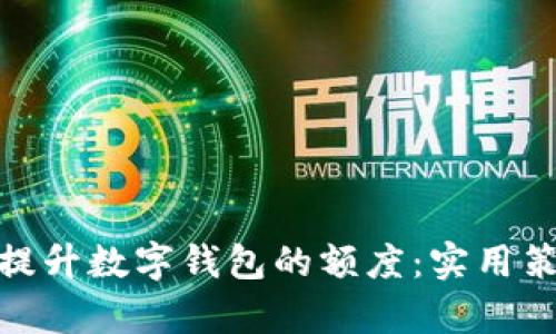 如何有效提升数字钱包的额度：实用策略与步骤