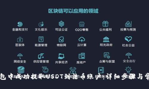 与关键词

如何在TP钱包中成功提取USDT到法币账户：详细步骤与常见问题解析