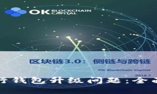 如何解决数字银行钱包升级问题：全面指南与解决方案