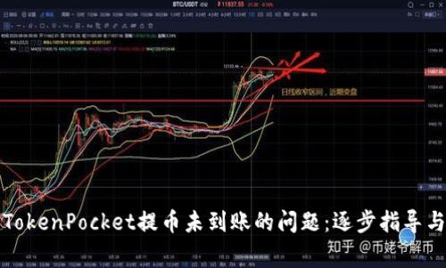 如何有效解决TokenPocket提币未到账的问题：逐步指导与常见故障排除
