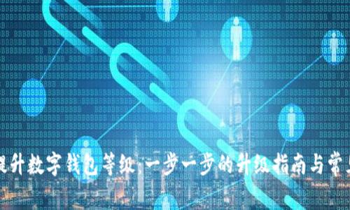 如何有效提升数字钱包等级：一步一步的升级指南与常见问题解答