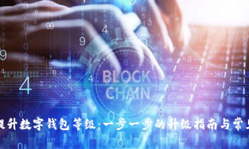 如何有效提升数字钱包等级：一步一步的升级指南与常见问题解答