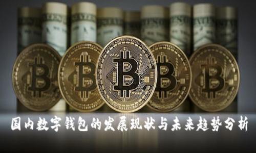 国内数字钱包的发展现状与未来趋势分析