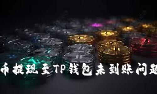 如何解决火币提现至TP钱包未到账问题的全面指南