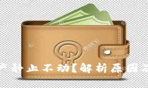 TP钱包资产静止不动？解析原因及应对策略