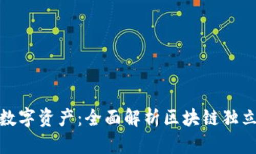 如何安全管理你的数字资产：全面解析区块链独立钱包的功能与优势