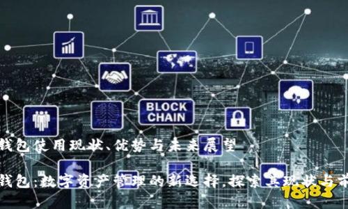 TP钱包使用现状、优势与未来展望

TP钱包：数字资产管理的新选择，探索其现状与前景
