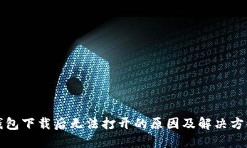TP冷钱包下载后无法打开的原因及解决方案详解