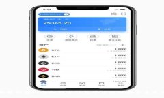 全面解析国内虚拟数字钱包平台的现状与未来发