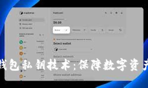 深入了解TP钱包私钥技术：保障数字资产安全的关键