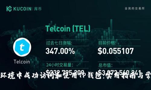 如何在海外环境中成功访问和使用TP钱包：实用指南与常见解决方案