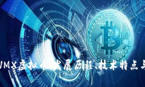 深入探讨VMX虚拟币：发展历程、技术特点与市场前景