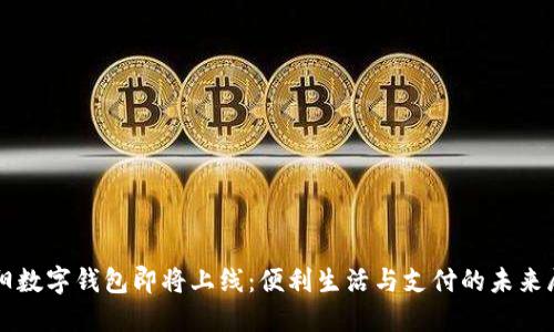 沈阳数字钱包即将上线：便利生活与支付的未来展望