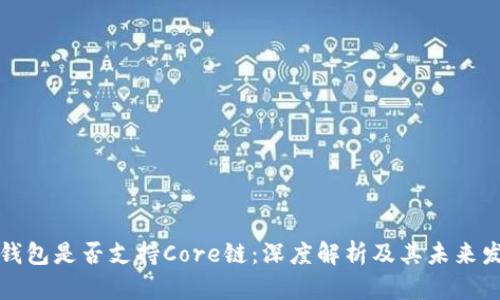 TP钱包是否支持Core链：深度解析及其未来发展