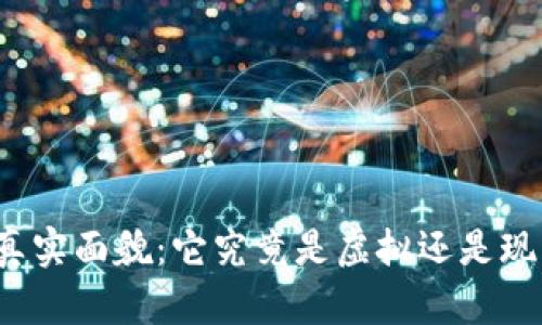 比特币背后的真实面貌：它究竟是虚拟还是现实的交易媒介？