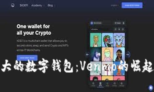 探索美国最大的数字钱包：Venmo的崛起与用户经验