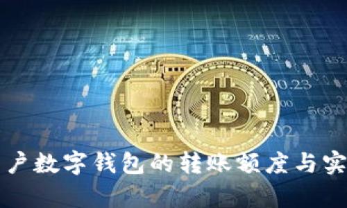 深入解析公户数字钱包的转账额度与实际应用场景
