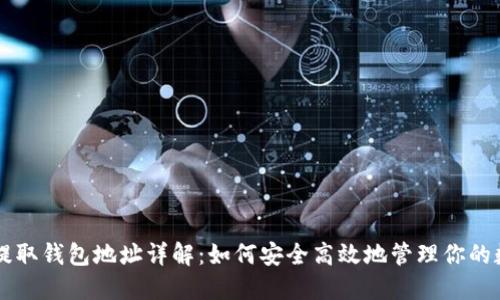 虚拟币提取钱包地址详解：如何安全高效地管理你的数字资产