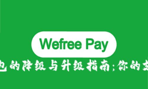 数字钱包的降级与升级指南：你的支付方式