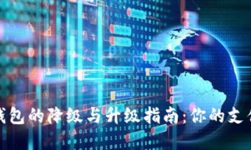数字钱包的降级与升级指南：你的支付方式