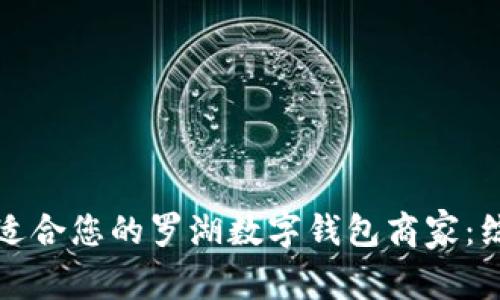 如何选择适合您的罗湖数字钱包商家：综述与指南