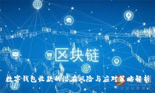数字钱包收款的潜在风险与应对策略解析
