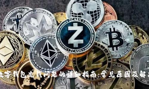解决数字钱包充钱问题的详细指南：常见原因及解决方案