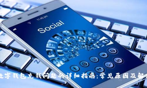 解决数字钱包充钱问题的详细指南：常见原因及解决方案