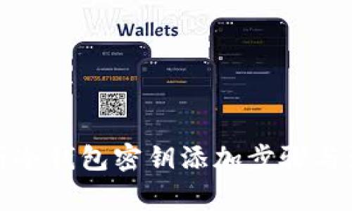 全面解析冷钱包密钥添加步骤与注意事项