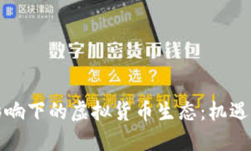洪水影响下的虚拟货币生态：机遇与挑战
