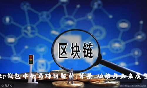 tp钱包中的马蹄链解析：背景、功能与未来展望