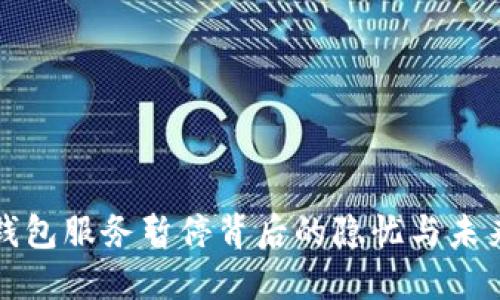 数字钱包服务暂停背后的隐忧与未来展望